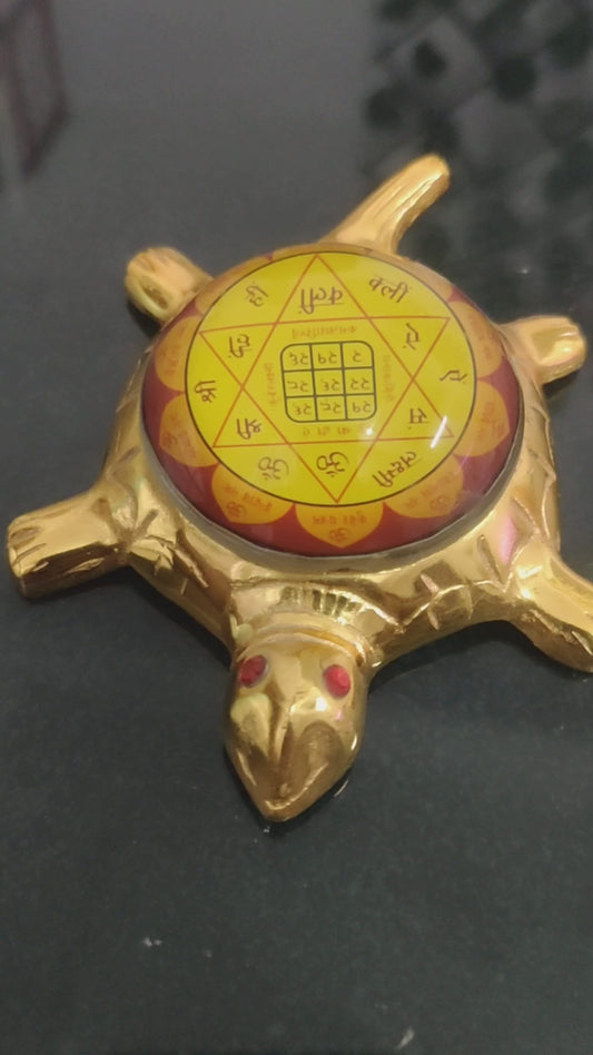 Dhanalakshmi Good Luck Tortoise