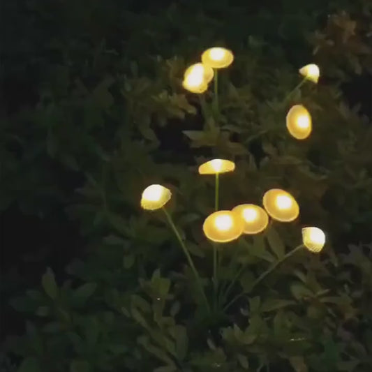 Jellyfish Mushroom Lights (Solar chargeable LEDs)