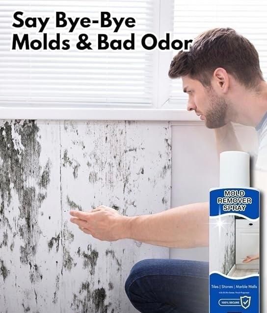 Mold Remover Spray (Pack of 3)
