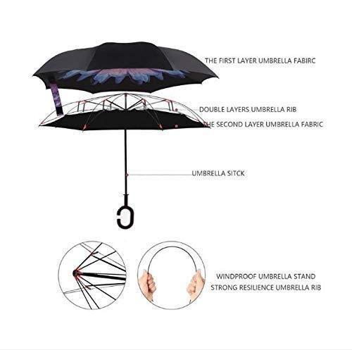 Reverse-folding Umbrella